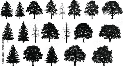 Tree, silhouette, forest, botanical, nature, deciduous, coniferous, black, shape, design, landscape, seasonal, minimal, outdoor, illustration, variety, species, branching, foliage, comparison