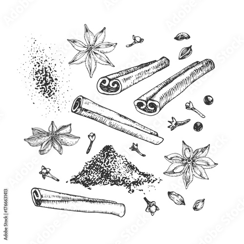 Cinnamon, anise, cardamom and clove spices. Hand-drawn ink vector illustrations set. Elements for spice label design, mulled wine