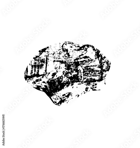 Skull illustration decay within a gothic portrait