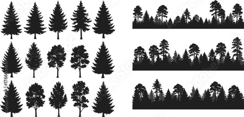Tree, silhouette, forest, botanical, nature, deciduous, coniferous, black, shape, design, landscape, seasonal, minimal, outdoor, illustration, variety, species, branching, foliage, woodland