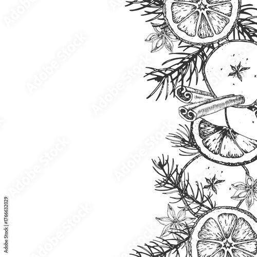Christmas hand-drawn vector illustration with mulled wine ingredients: cinnamon, anise, dried apple and orange, cloves, cardamom and fir branches. 