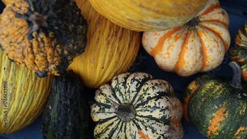 Assorted decorative pumpkins and gourds in a blue crate showing natural autumn harvest colors and seasonal vegetable variety for fall market