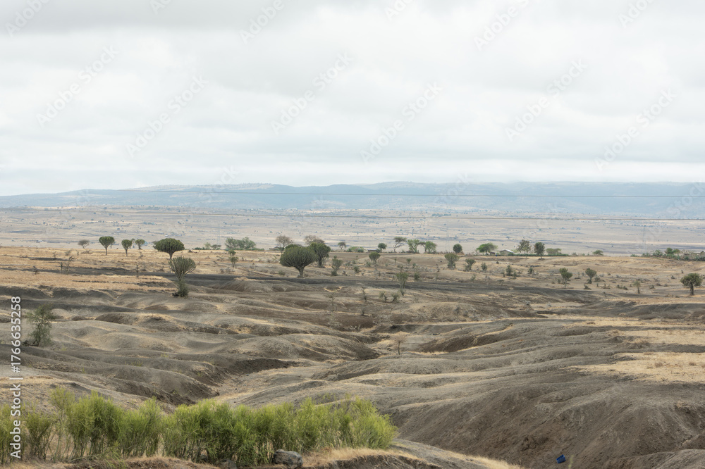 Naklejka premium désert de Tanzanie