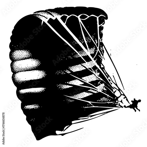 Parachutist Descending in Flight