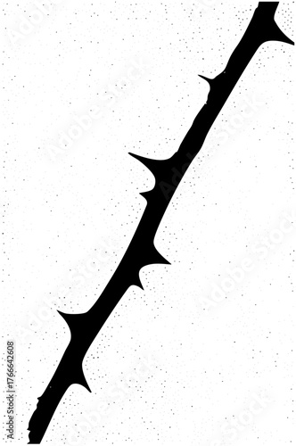 Rose illustrates danger in a botanical study