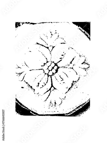 Watermelon slice cracked texture in summer still life