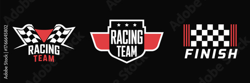 Vector set of car decoration variations, racing flag design, sticker and graphic decal elements, vinyl automotive decoration, motorsport and race car design illustration