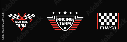 Vector set of car decoration variations, racing flag design, sticker and graphic decal elements, vinyl automotive decoration, motorsport and race car design illustration