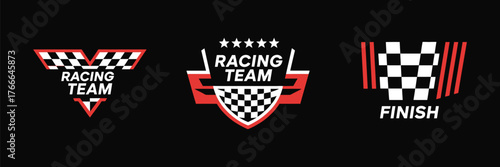 Vector set of car decoration variations, racing flag design, sticker and graphic decal elements, vinyl automotive decoration, motorsport and race car design illustration