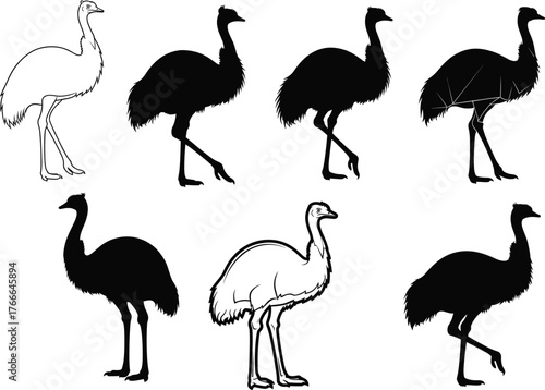 Emu bird vector illustration set in seven artistic styles, black silhouettes and line drawings for nature, wildlife, decor, study