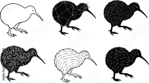 Kiwi bird vector illustration set in six artistic styles, black and white transformations for nature, wildlife, decor, study, design