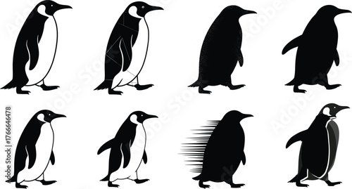 Penguin bird vector illustration set in eight artistic styles, black and white transformations for nature, wildlife, decor, study, cartoon