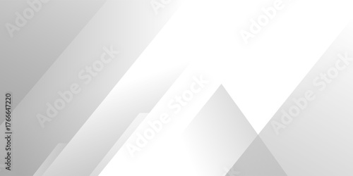 Abstract white and gray triangle minimalist vector background. texture white pattern	