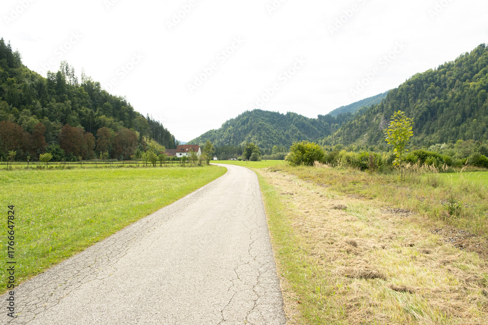 Fototapeta premium Trail Between Green Meadows with Forest in the Background