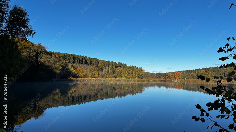 Fototapeta premium reflection of trees in the lake