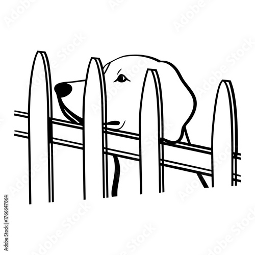Dog peeking through wooden fence in simple line drawing style  