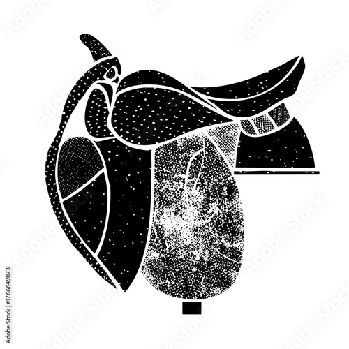 Saddle Illustrates Equestrian Sport in a Riding Arena