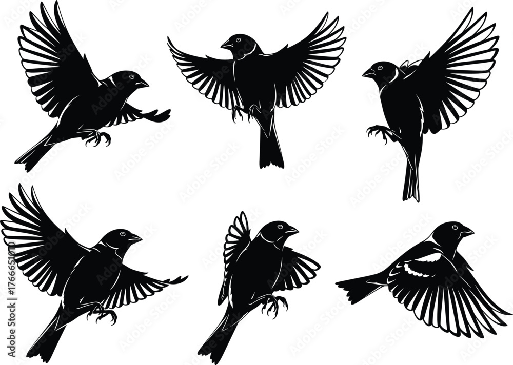 Obraz premium Bird silhouette vector set in flight and landing poses, black illustrations with wing spread for nature, wildlife, decor, study