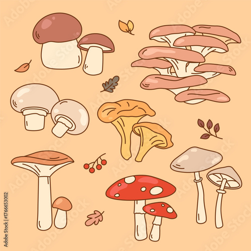 Set of cartoon style mashroom drawings. Simple vector illustrations