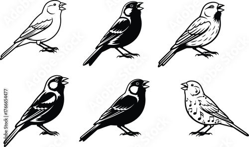 Singing bird illustration, stylized vector design, black and white profile, open beak pose, decorative feathers, tropical animal art, wildlife graphic