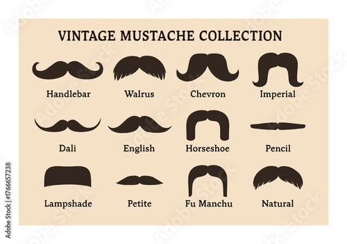 Vintage mustache collection chart featuring 12 classic styles