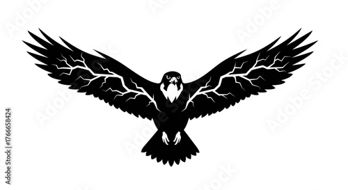 A striking black silhouette of a falcon with its wings spread wide, showcasing intricate lightning-like patterns on its feathers.