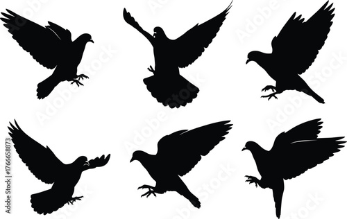 Flying dove silhouette set, black birds in motion, wing spread pose, graceful flight vector, isolated illustration, white background design