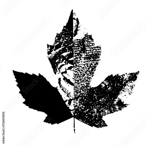 Maple leaf transforms into portrait face in illustration