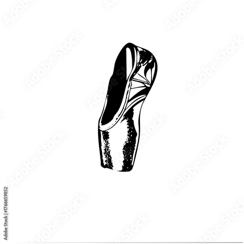 Ballet shoe illustrates elegance in performance