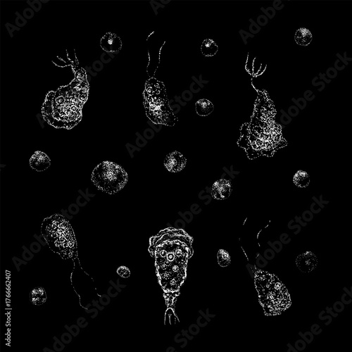 illustration of Naegleria, a microscopic amoeba known for its free-living and pathogenic forms. The artwork shows various life stages and structures of the organism.