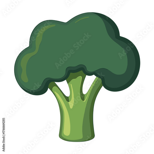 Fresh broccoli isolated on white, showcasing its vibrant green color and detailed florets. Broccoli is a healthy vegetable, perfect for dietary use and nutrition promotion.