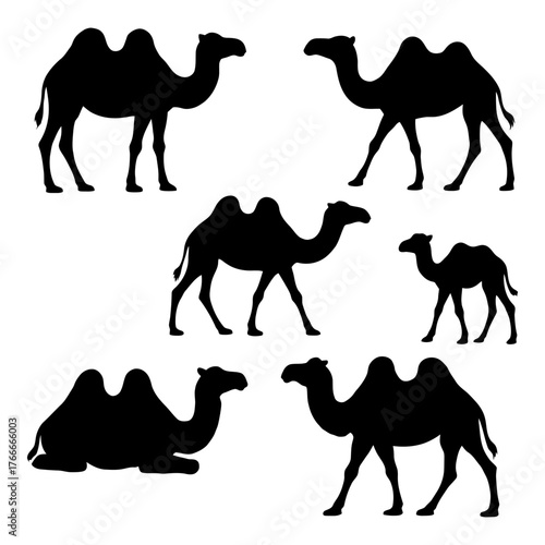 A series of silhouettes of camels, including a baby camel. The camels are all facing different directions. Vector. Silhouette illustration.