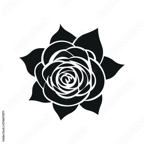Black Rose