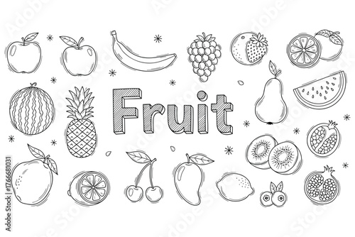 Variety of hand-drawn fruits: apples, bananas, grapes, and citrus illustrations