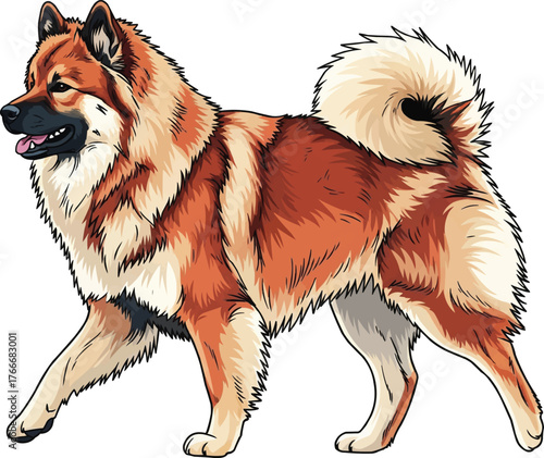 Eurasier dog walking trotting gait pose vector illustration