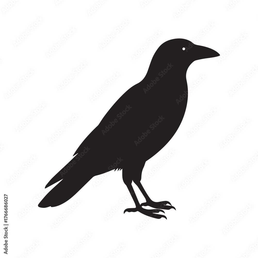 Fototapeta premium Black Crow Silhouette Bird Vector Illustration on white background