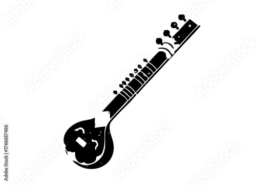 Sitar Illustrates Musicality in Cultural Performance