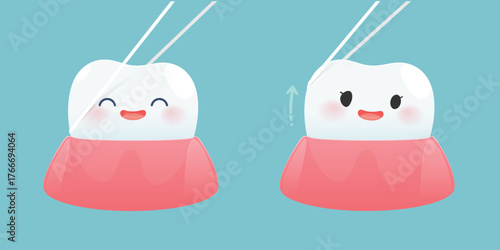 Cute cartoon teeth showing correct dental floss technique in two simple steps for healthy gums and smile