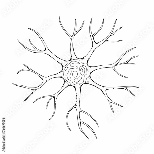 Detailed Neuron Illustration Depicting Cellular Structure and Function.