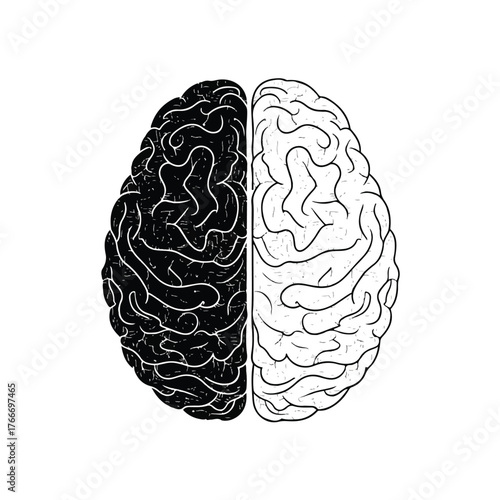 Mind Matters A Two-Sided Brain Showing Contrasting Concepts and Thought Processes