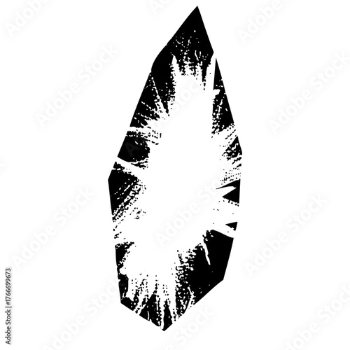 Footprint Reveals Mystery in White Space