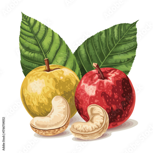 Apple Cashew Still Life: Orchard Bounty, Harvest Season, Nutritious Snack, Autumn Produce, Healthy Eating Icon Art