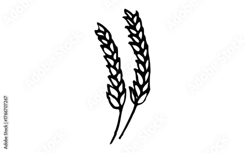 Hand Drawn Bundle of Wheat Stalks OR Cereal Grain Doodle