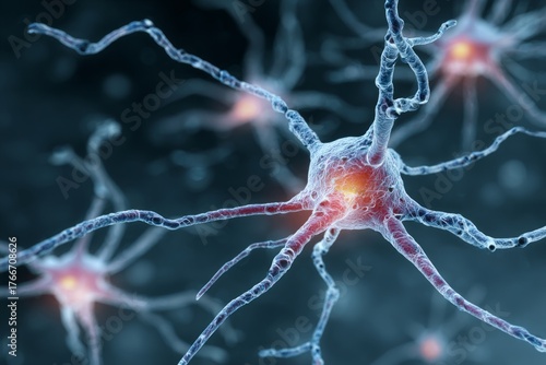 Histamine release in the brain contributes to allergic reactions and may be involved in certain neurological conditions.