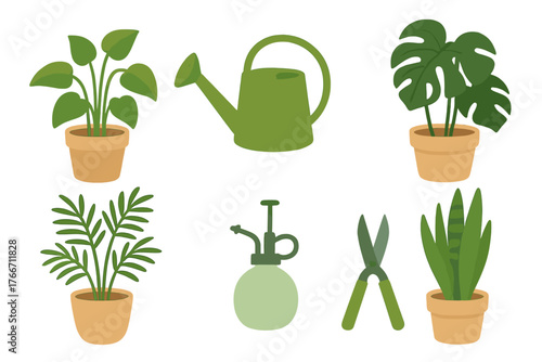 Potted indoor houseplants and essential gardening tools set for home care