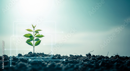 Modern Ecology – Small Sprout against Bright Sky with Futuristic Design