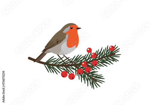 Robin on Natal Branch A Festive Illustration of a Bird Perched on a Holly Branch with Berries for Holiday Decor