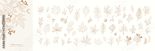 Autumn set of different seasonal brunch of plants, fall leaves and berries. Delicate and elegant botanical design elements