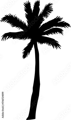 Black silhouette of a palm tree on white background