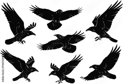 Raven silhouette set, flying and perching black birds, feather detail, dynamic wing pose, isolated vector, white background illustration
